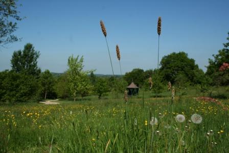 Westall Park Woodland Burial, Redditch, Worcestershire